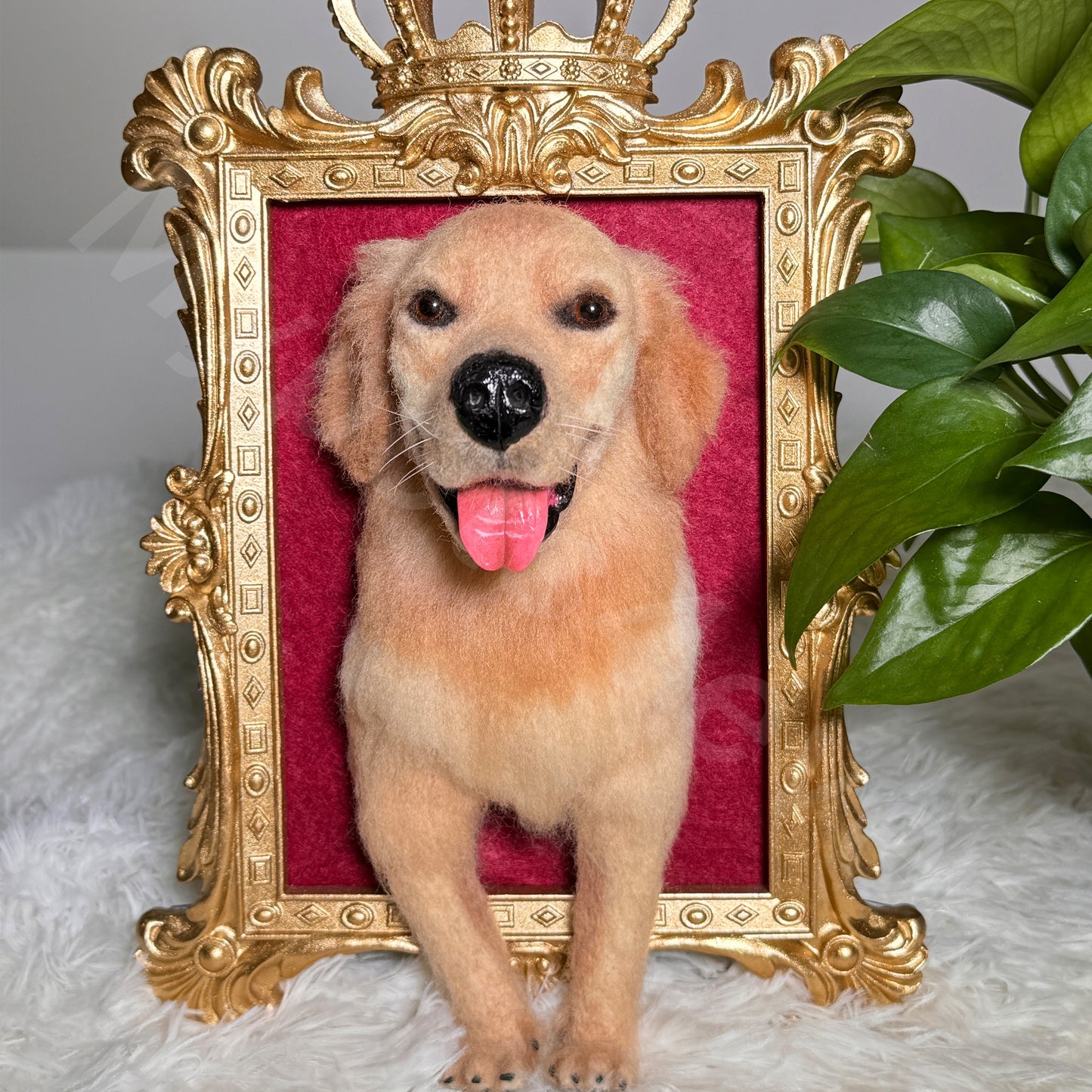 Framed Dog Portrait